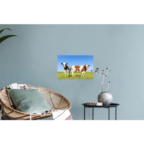 Koeien - Boerderij - Gras- Natuur - Dieren Muursticker klein -plant