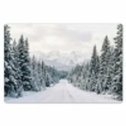 Weg - Sneeuw - Naaldbos - Winter - Avontuurlijk Placemat vinyl groot -zzsfeer1_Kitchenyeah-website