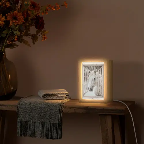 Paard - Wit - Winter - Sneeuw - Doorkijk - Dieren Light Box met kabel (Tafellamp) klein -sfeer4
