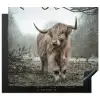 Schotse Hooglander - Bos - Mist - Koe - Dieren - Natuur Inductie beschermer vinyl 3mm middel -3d