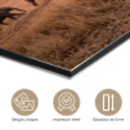 Olifanten - Savanne - Zonsondergang - Afrika - Warm aluminium wit klein -closeup_FR