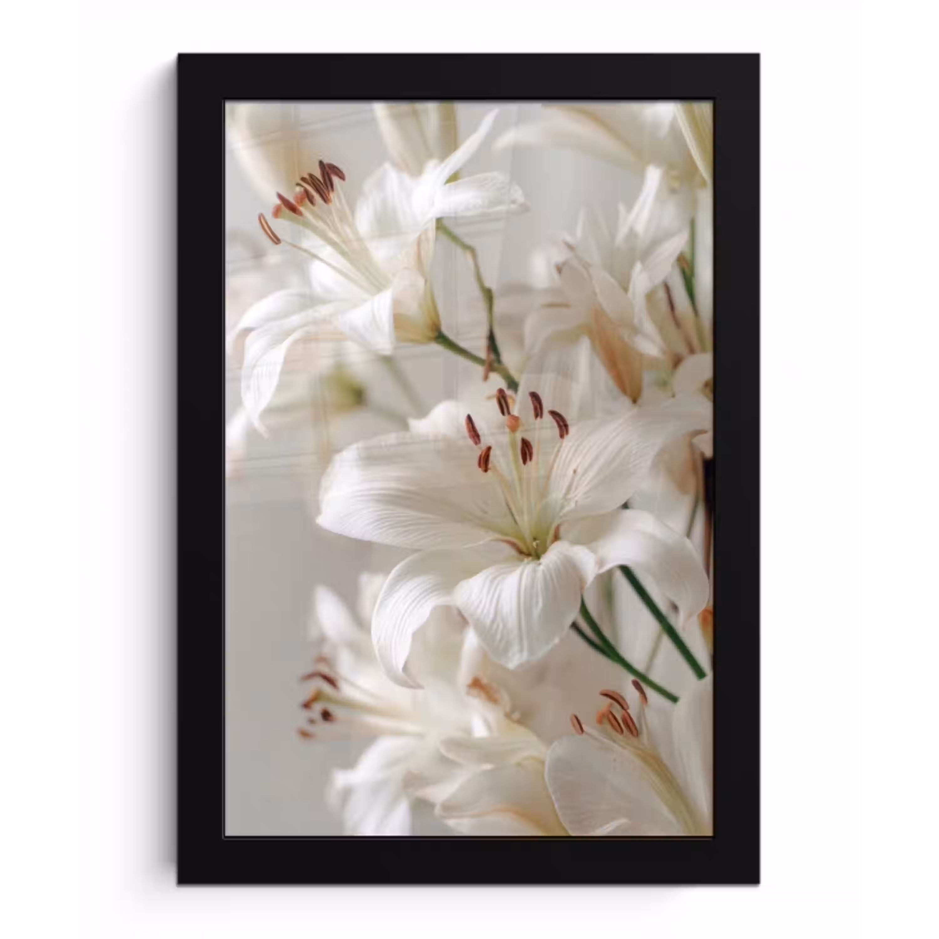 Lelies - Boekte - Wit - Meeldraden fotolijst zwart zonder passe partout klein -3d