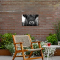Schotse hooglander - Zwart - Wit - Sneeuwvlokken Tuinposter op houten frame 2 cm dik klein -sfeer3