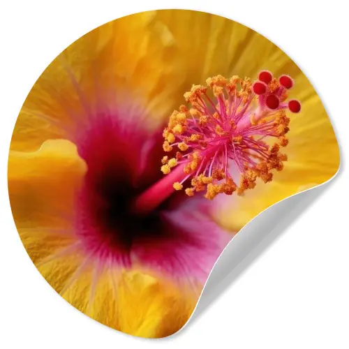 Geel - Hibiscus - Tropisch Wandcirkel behangsticker klein -3d