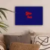Yes fun - Rood - Blauw - Stippen canvas 2cm klein -sfeer1