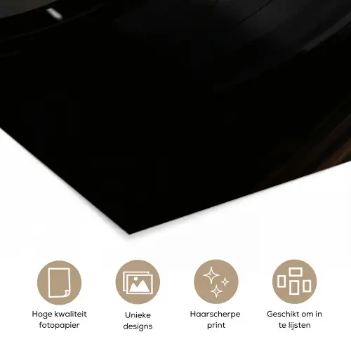 Close-up - Vinylplaat - Platenspeler - Zwart poster papier klein -closeup_NL