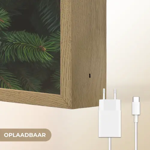 Sparrentakken - Knoppen - Naalden - Groen Light Box met batterij (Wandlamp) middel -USP_websiteoplaadbaarNL