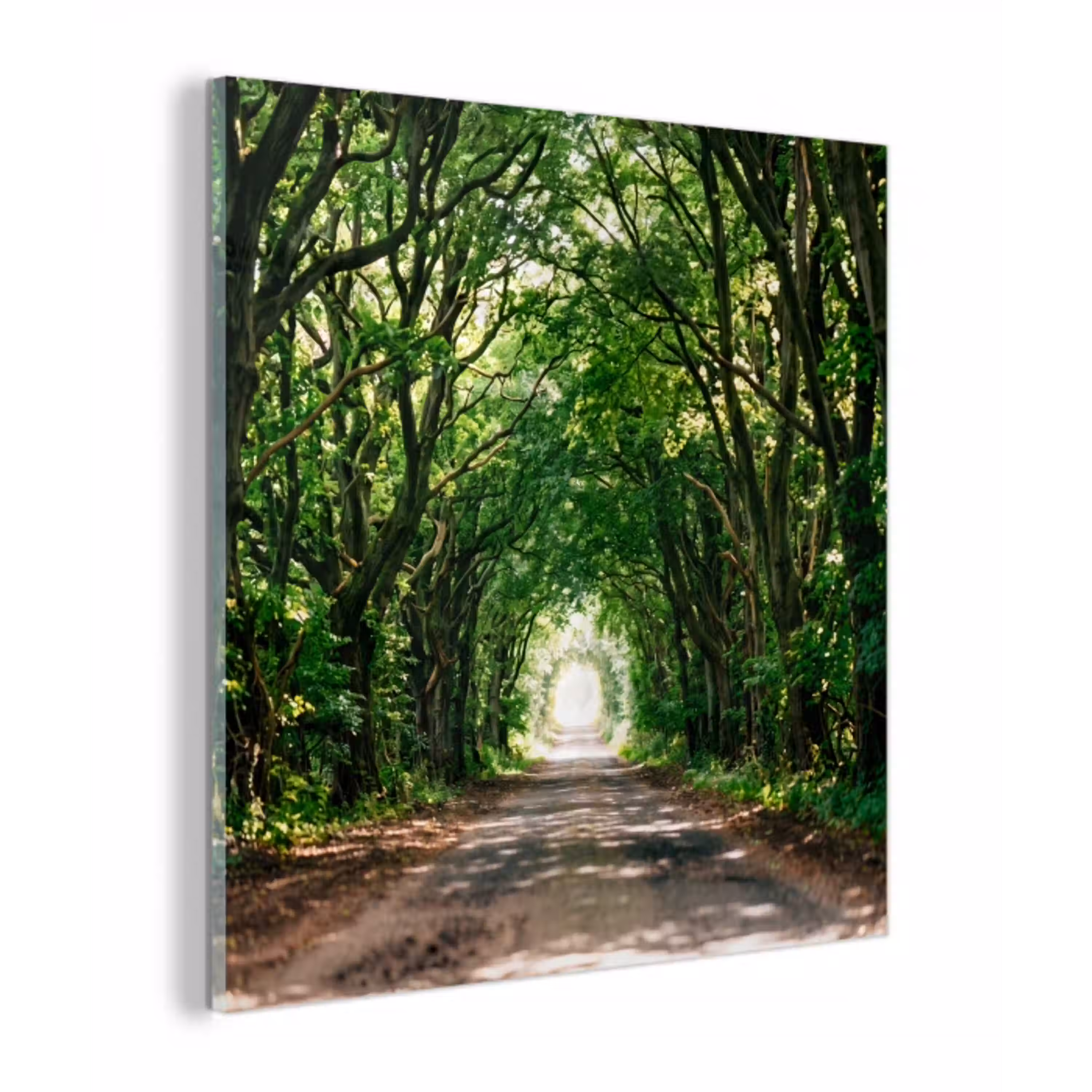 Weg - Bomen - Natuur - Groen plexiglas 5mm klein -z3d