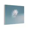 Paardenbloempluisje - Blauw - Lucht PET vilt klein -3d