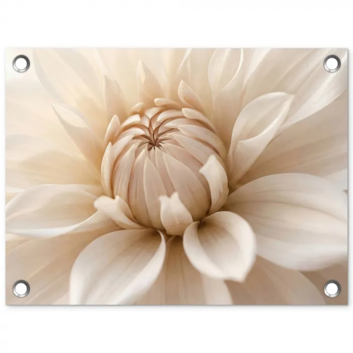 Bloem - Dahlia - Wit tuinposter los doek klein -3d