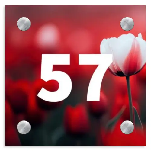 Rode tulpen - Traditioneel Naambord Vierkant klein -3d