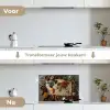 Wereldkaart - Specerijen - Kleurrijk keuken achterwand spatscherm klein -voor_na_NL