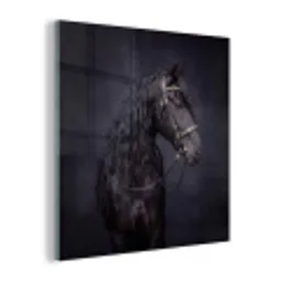 Portret - Paard - Donker plexiglas 5mm klein -z3d