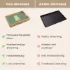 Groen - Waterijsje - Stokje - Illustratie Dienblad Rechthoek middel -USP_VergelijkingNL