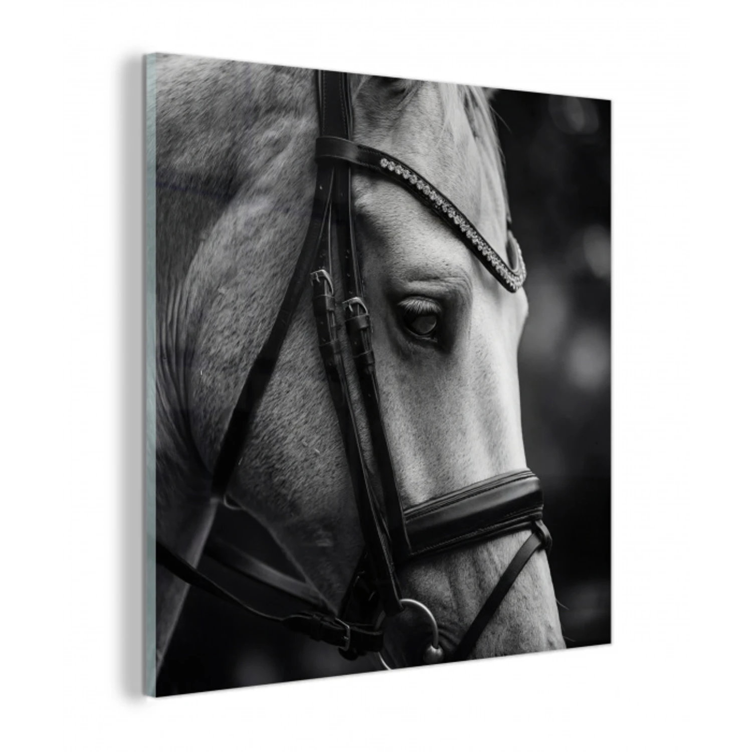 Paard - Schimmel - Portret plexiglas 5mm klein -z3d