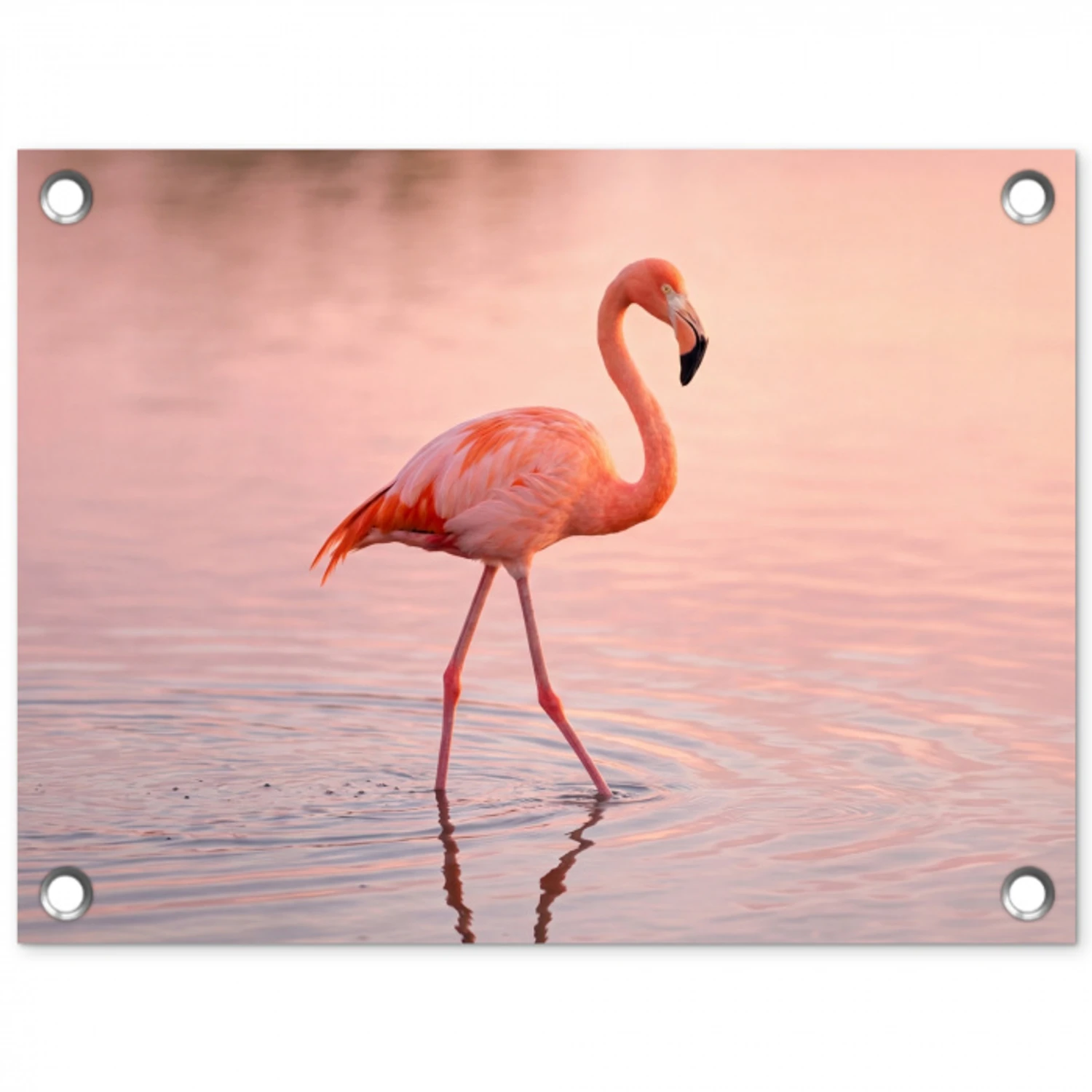 Flamingo - Water - Roze tuinposter los doek klein -3d