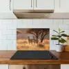 Zebra's - Savannelandschap - Gras keuken achterwand spatscherm klein -sfeer2