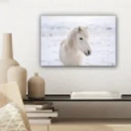 Paard - Kop - Winter - Dieren - Wit canvas 2cm klein -sfeer6
