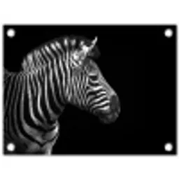 Zebra - Zwart - Wit - Portret - Dieren tuinposter los doek klein -3d