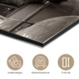 Eland - Auto - Gewei - Zwart - Wit aluminium wit klein -closeup_NL