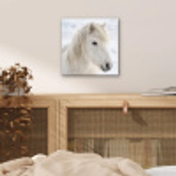 Paard - Kop - Winter - Dieren - Wit aluminium wit klein -sfeer3