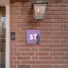 Paarse tulp - Traditioneel Naambord Vierkant klein -sfeer7-XS