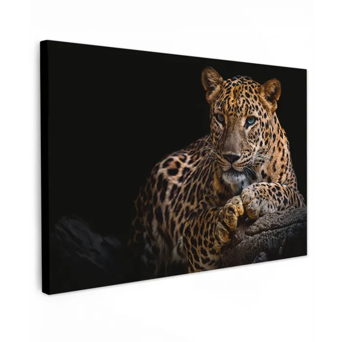 Wilde dieren - Panter - Portret - Zwart - Dieren Tuinposter op houten frame 2 cm dik klein -3d