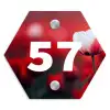 Rode tulpen - Traditioneel Naambord Hexagon klein -3d