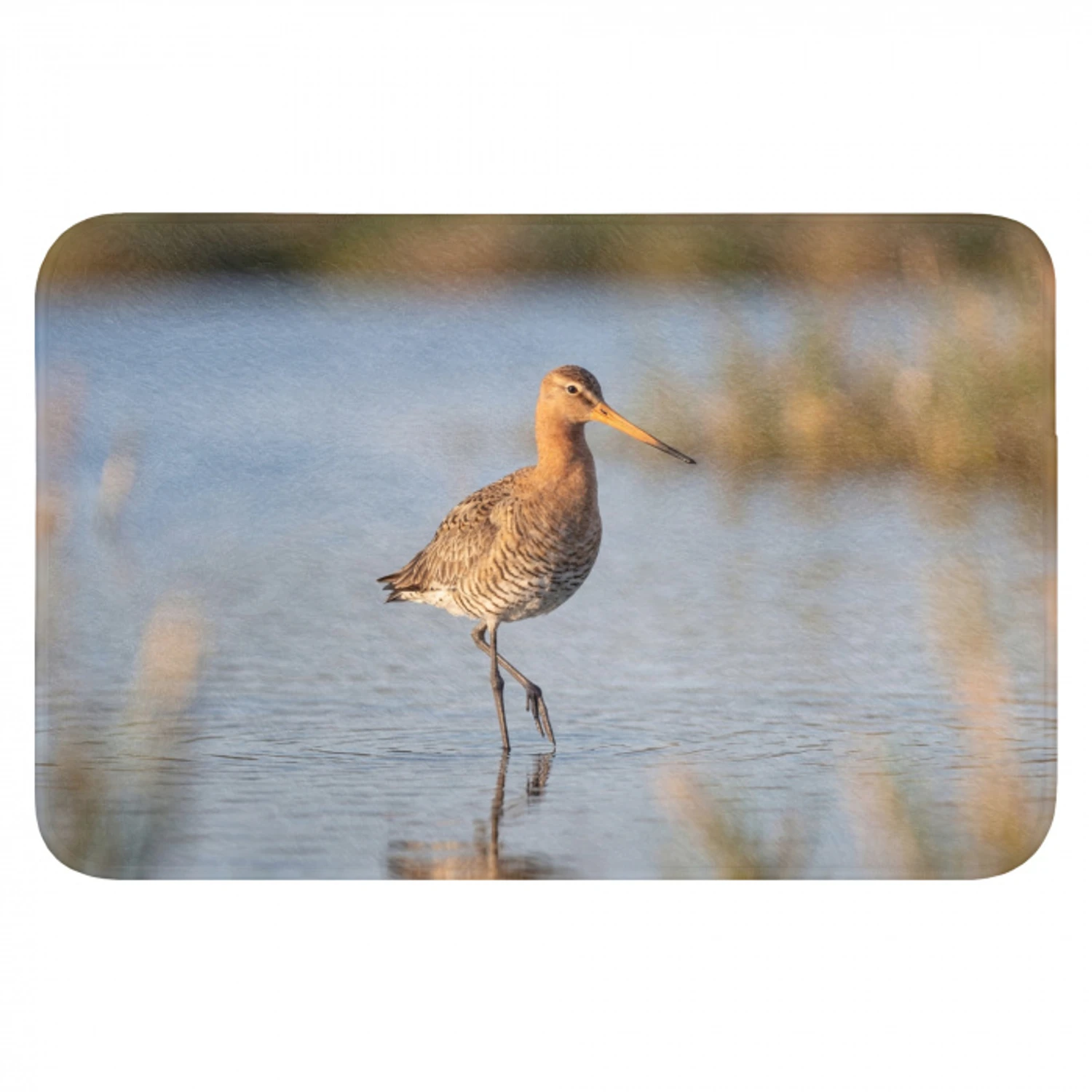 Vogel - Steltloper - Water - Natuur Badmat klein -3d