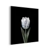 Tulp - Patroon - Blauw aluminium wit klein -3d