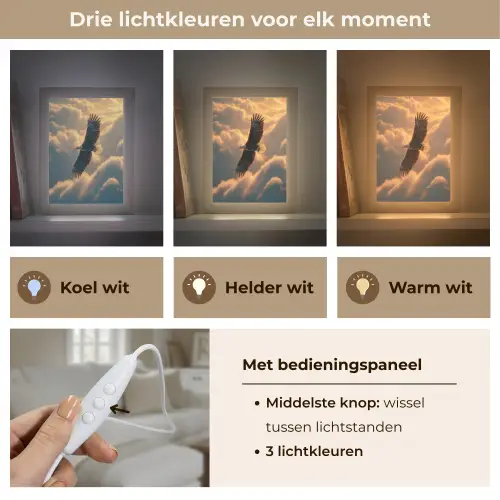 Adelaar - Wolken - Zon Light Box met kabel (Tafellamp) klein -USP_lichtkleurNL