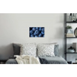 Bessen - Blauw - Fruit Muursticker klein -slaapkamer