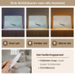 Bloesems - Minimalistisch - Wateroppervlak - Boot Light Box met kabel (Tafellamp) klein -USP_lichtkleurNL