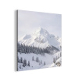 Berg - Sneeuw - Winter - Natuur - Wit aluminium wit klein -3d