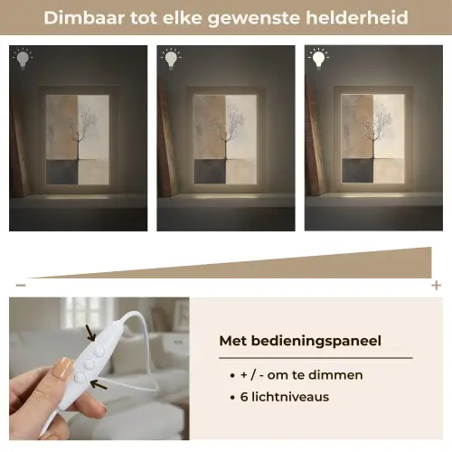 Boom - Vlakken - Takken - Kleurverloop Light Box met kabel (Tafellamp) klein -USP_dimbaarNL