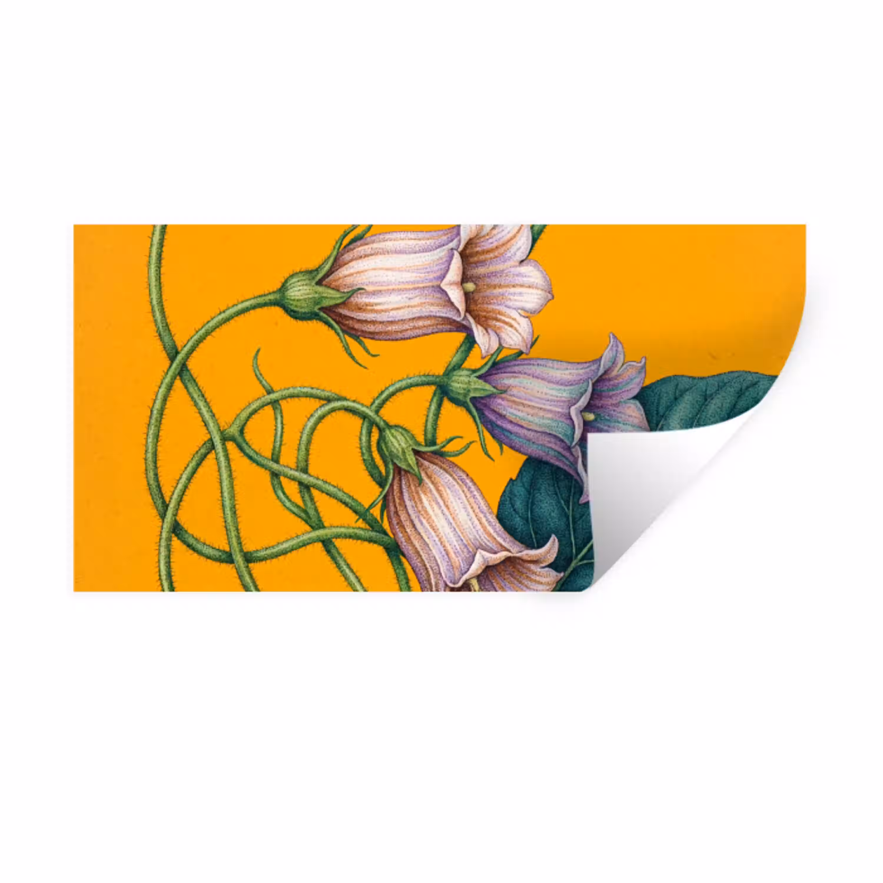 Bloemen - Botanisch - Geel Muursticker klein -3d