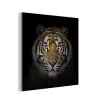 Tijger - Wilde dieren - Portret - Zwart - Dieren aluminium wit klein -3d