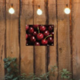 Rood - Fruit - Kersen tuinposter los doek klein -sfeer1