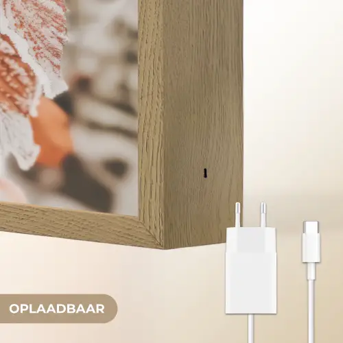 Bladeren - IJs - Winter - Natuur Light Box met batterij (Wandlamp) middel -USP_websiteoplaadbaarNL