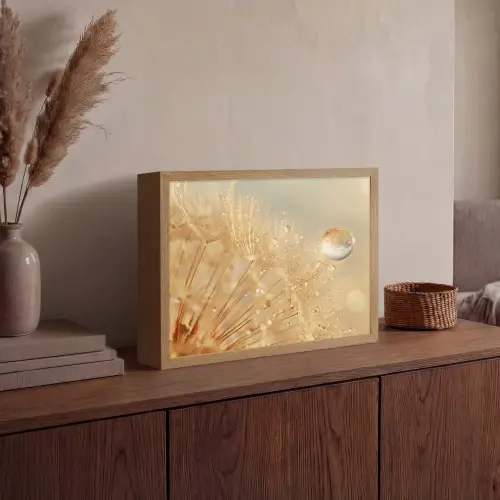 Paardenbloem - Water - Natuur - Planten - Modern Light Box met batterij (Wandlamp) middel -sfeer2