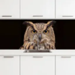 Oehoe - Uil - Portret - Bruin keuken achterwand 2 middel -3d