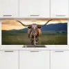 Longhorn - Landschap - Zonsondergang keuken achterwand 2 middel -3d