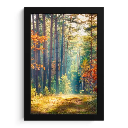 Bos - Zon - Natuur - Herfst fotolijst zwart zonder passe partout klein -3d