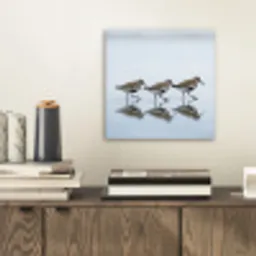 Vogels - Water - Grijs aluminium wit klein -sfeer1