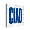 Ciao - Blauw - Stippen aluminium wit klein -3d