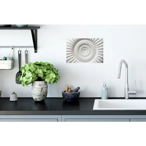 Schelp - Spiraal - Wit Muursticker klein -keuken