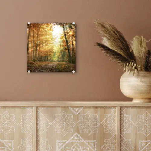 Bos - Herfst - Zon - Landschap - Natuur - Bomen - Bladeren plexiglas 5mm klein -sfeer5