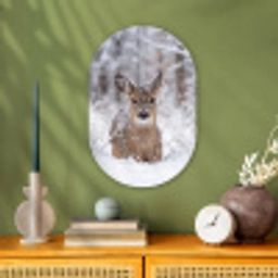 Hert - Sneeuw - Bos - Dieren - Vertederend Wandcirkel Ovaal Forex klein -sfeer2