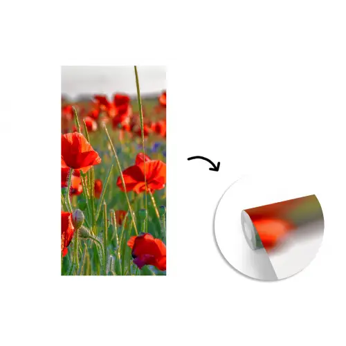 Bloemen - Klaprozen - Natuur - Rood fotobehang vinyl groot -3d