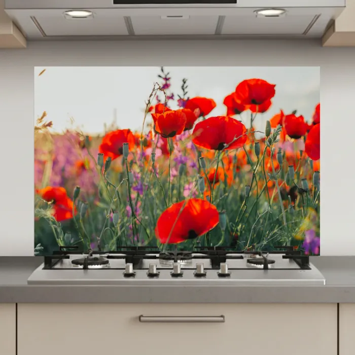 Klaproos - Bloemen - Rood - Paars - Weide keuken achterwand spatscherm klein -3d_website